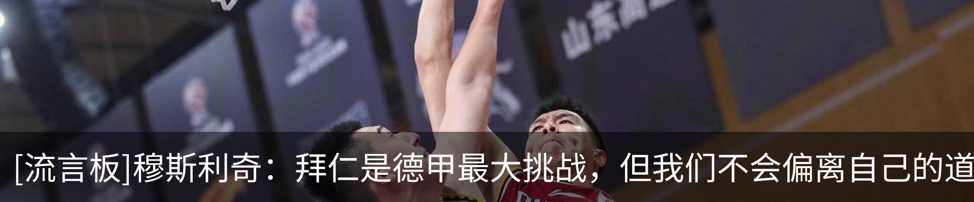最新动态